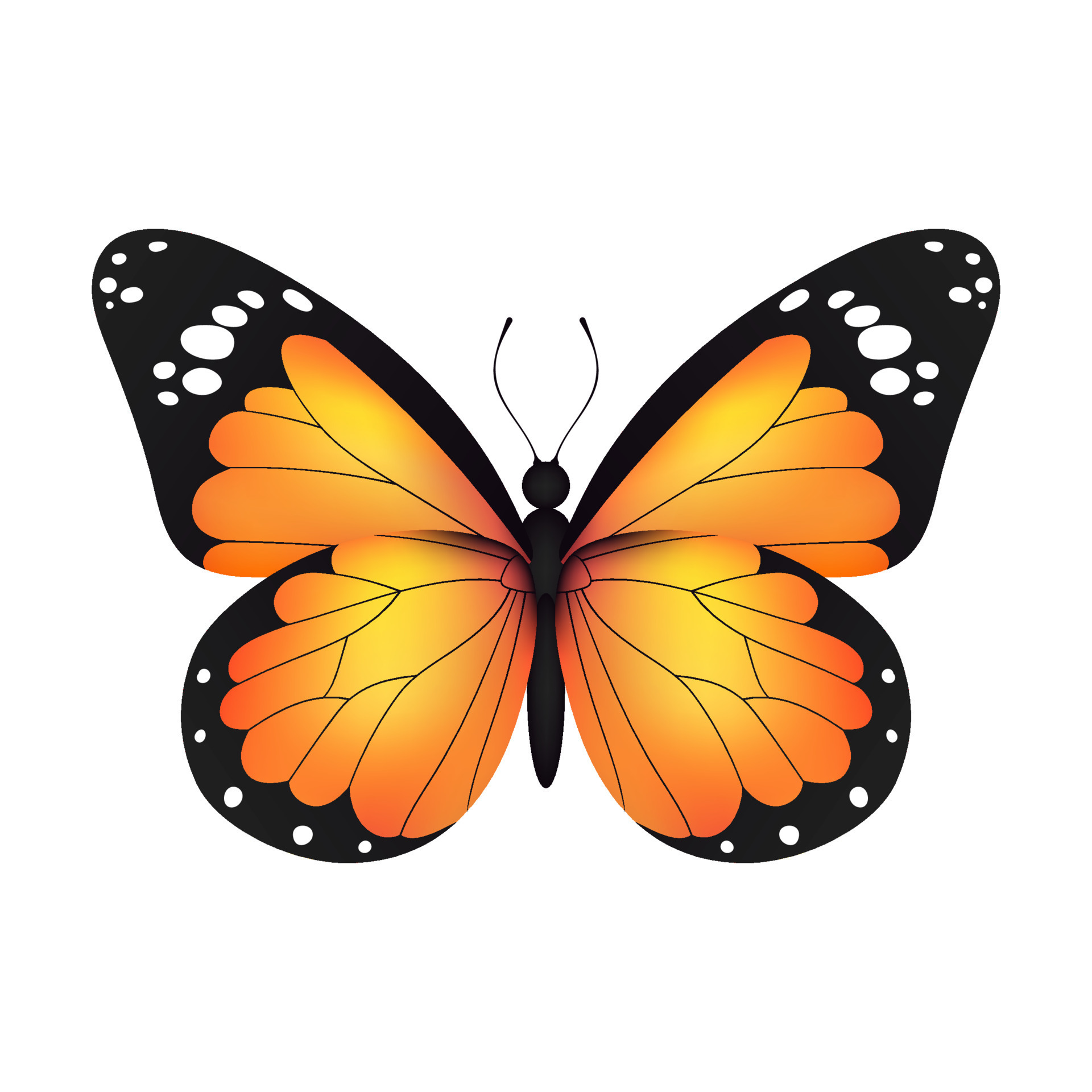 Yellow realistic flying monarch butterfly on a white background. Vector