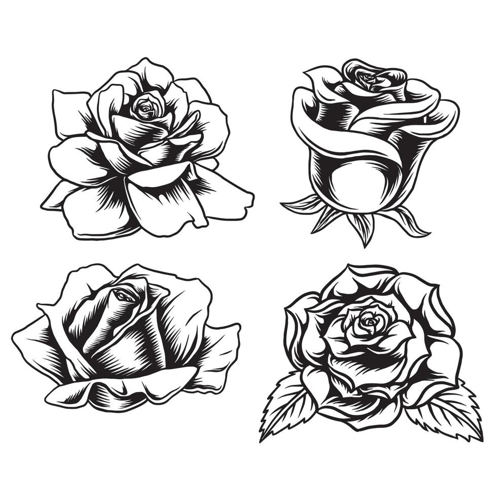 design vector line art set rose
