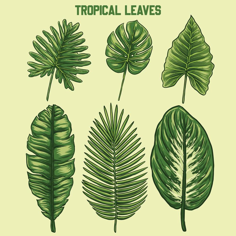 some vector tropical leaft designs