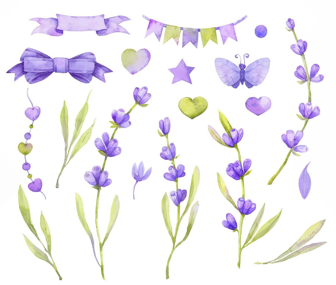 large set of lavender flowers, flags, bows, leaves. Watercolor illustration, isolated on a white background vector