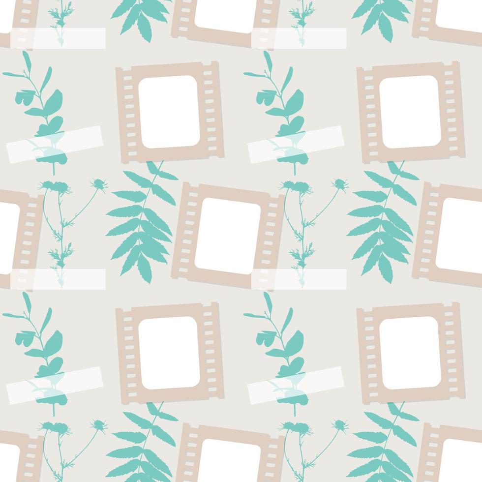 Cinema pattern from film movie frames and botanical elements herbarium leaves and chamomile, scrapbooking. vector