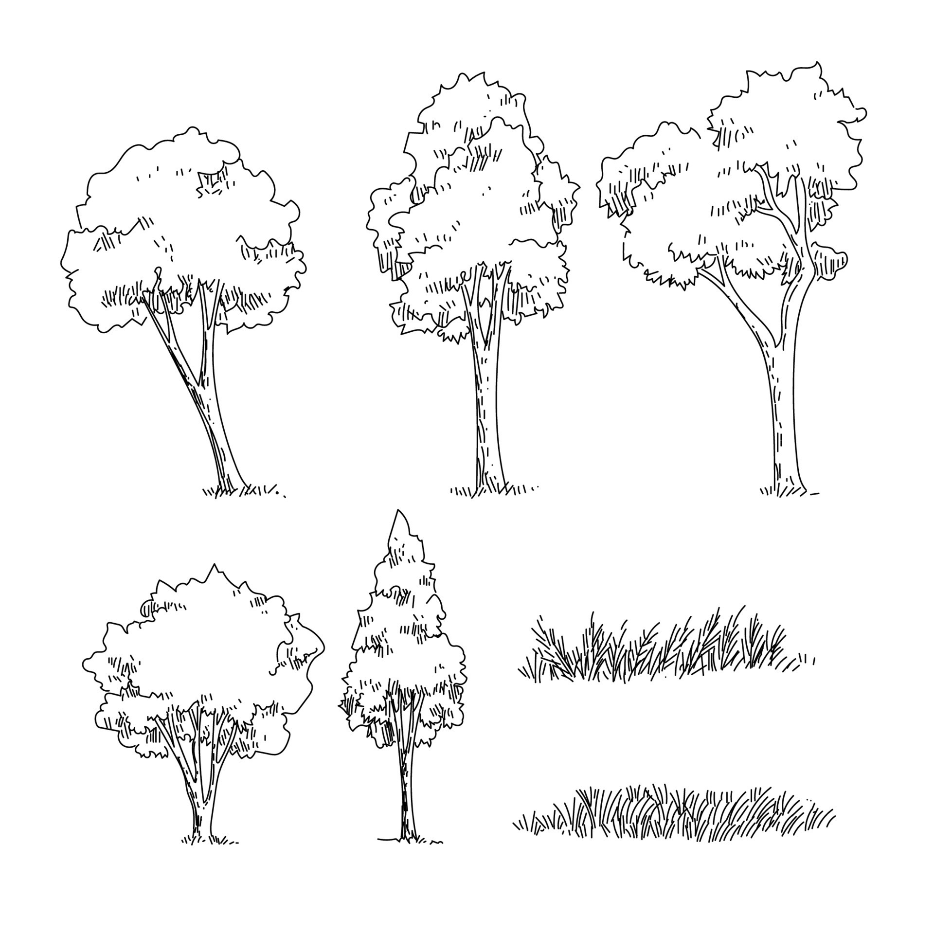 Fia Trees Elevation - Tree, HD Png Download , Transparent Png Image -  PNGitem