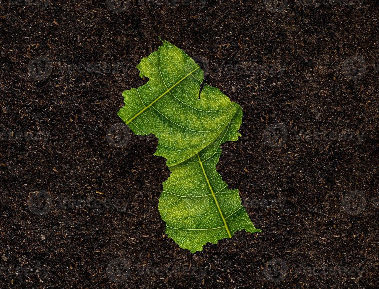 Guyana map made of green leaves on soil background ecology concept photo