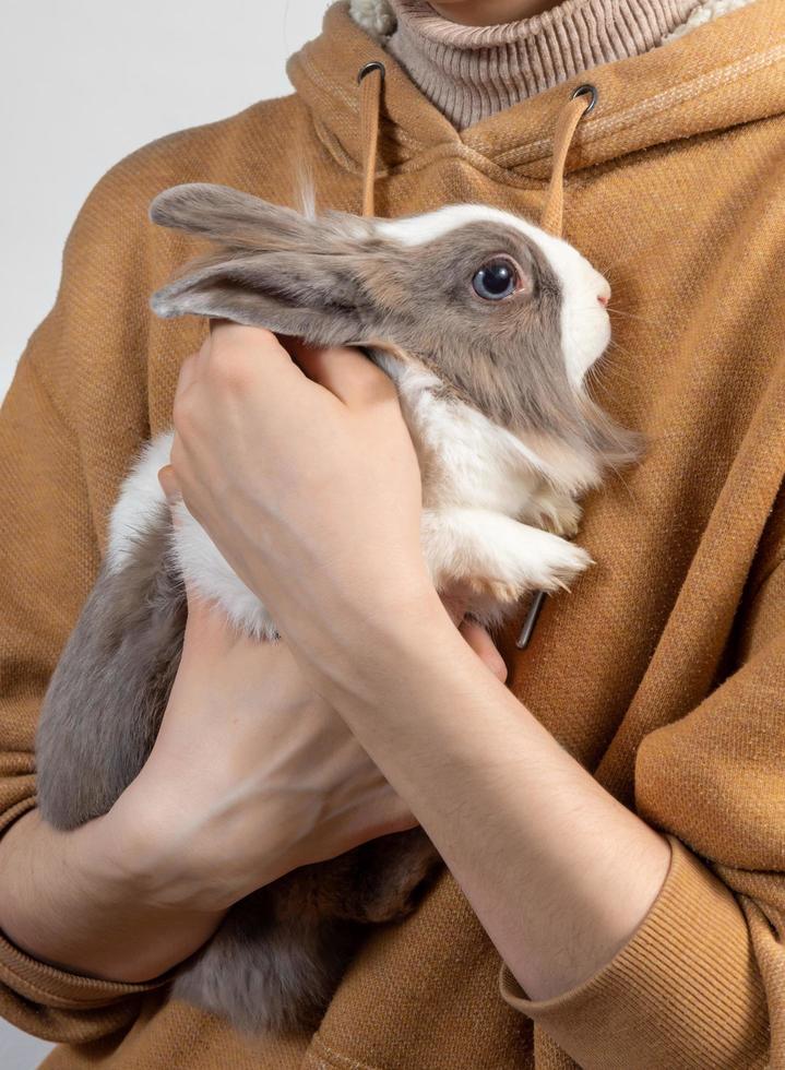 A young woman is holding a cute fluffy rabbit in her arms. The frightened rabbit clung to the mistress's hands. photo
