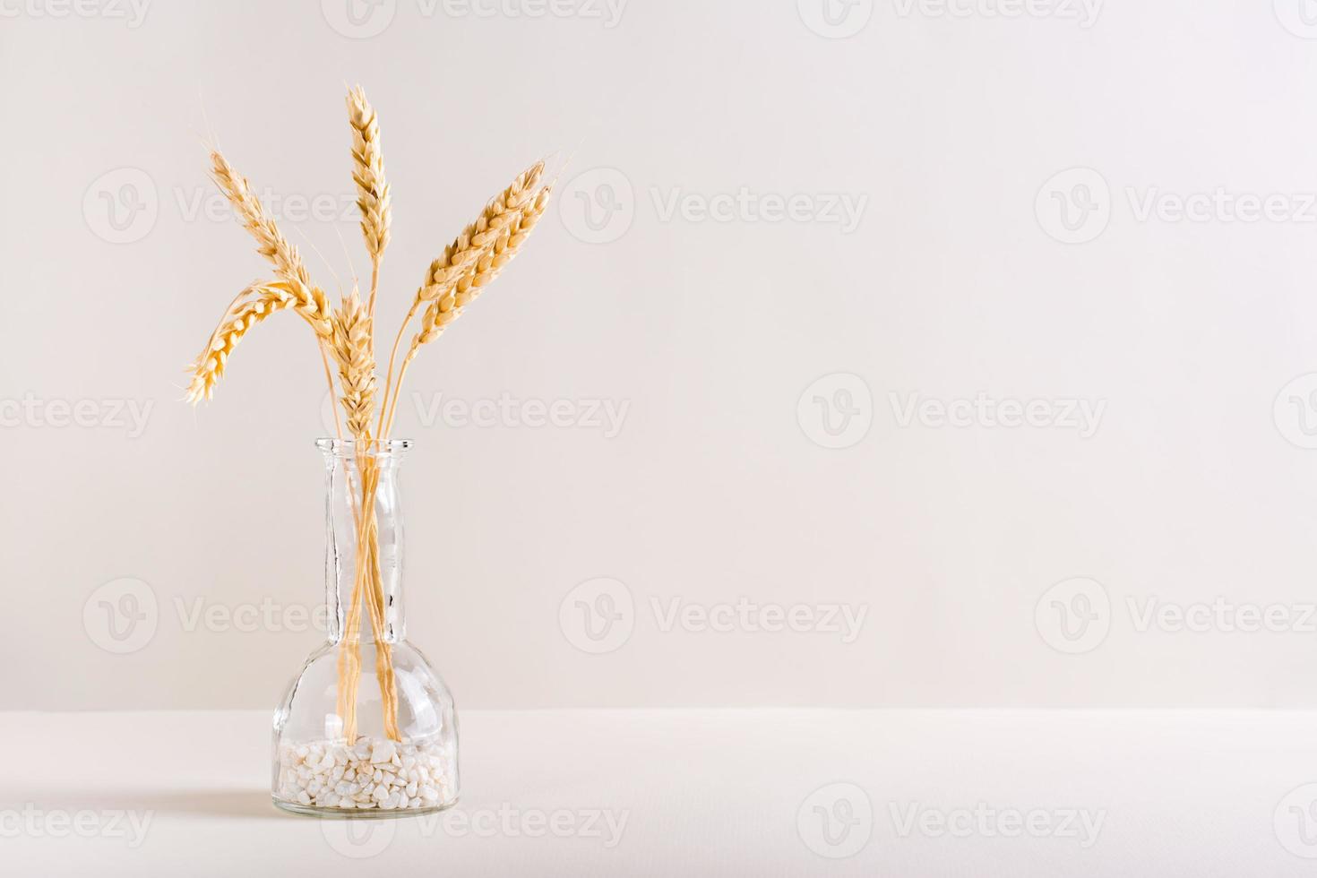 Ears of wheat in a decorative bottle on a light background. Autumn decoration. Copy space photo