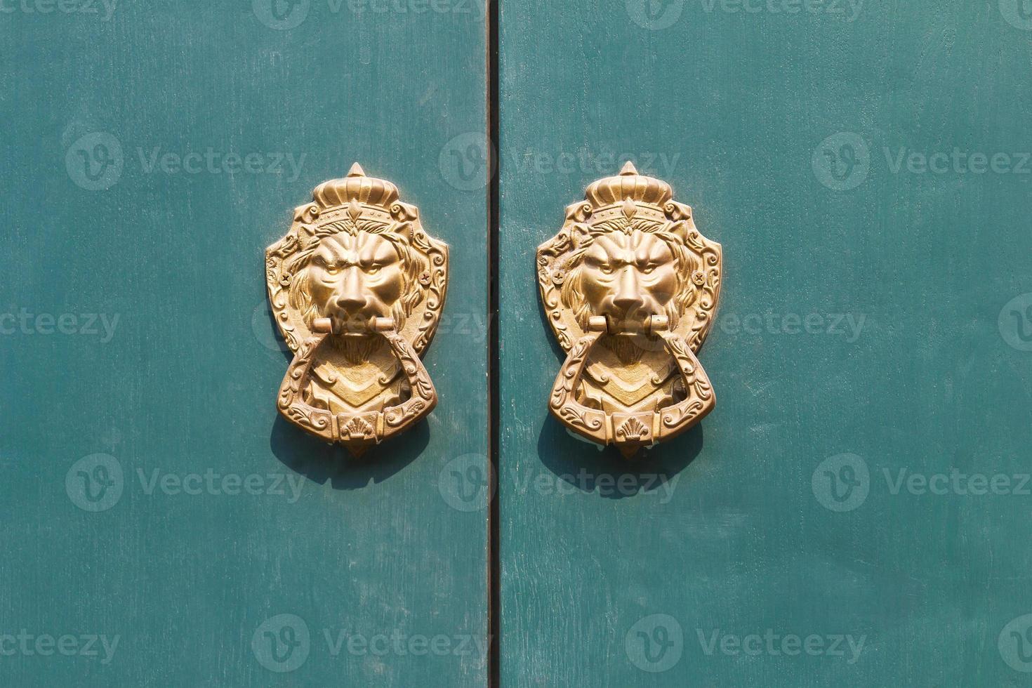 Door knocker lion head photo