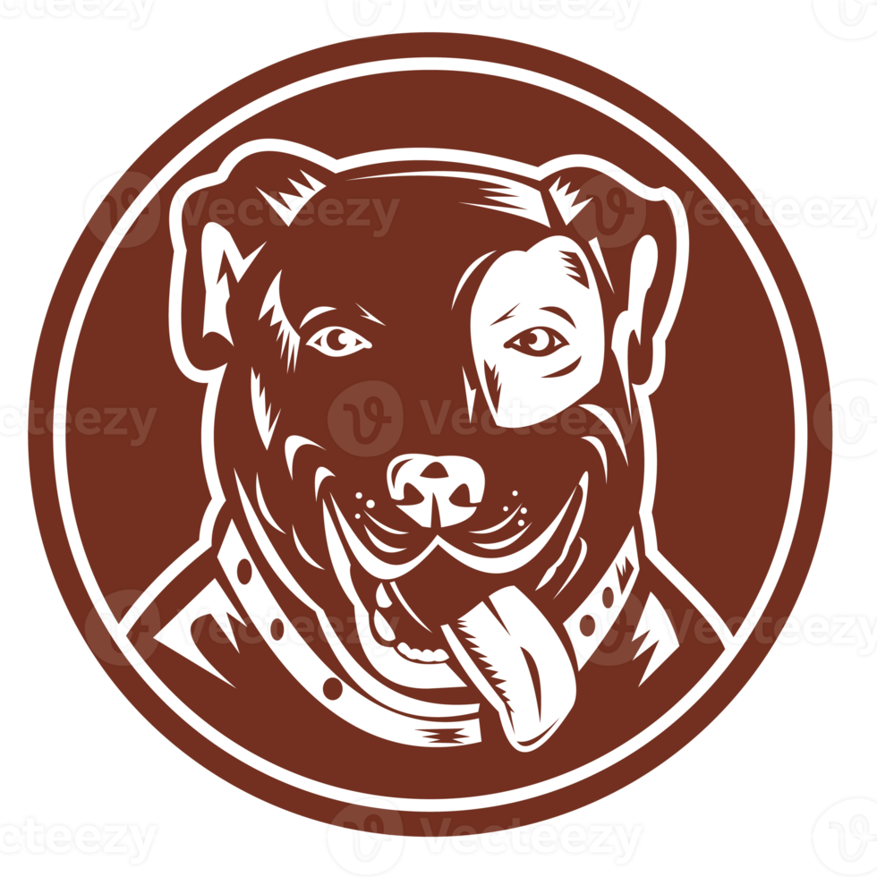 americano pit bull terrier png