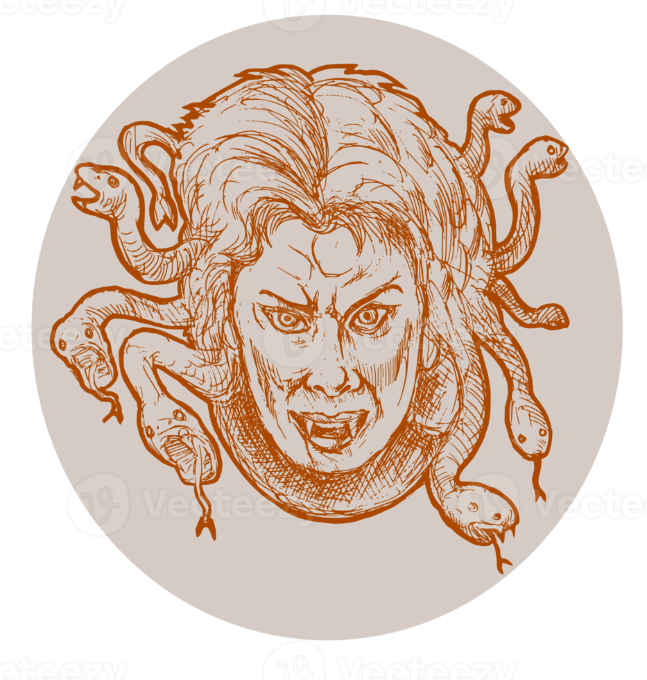 medusa greco metodologia serpenti come capelli png