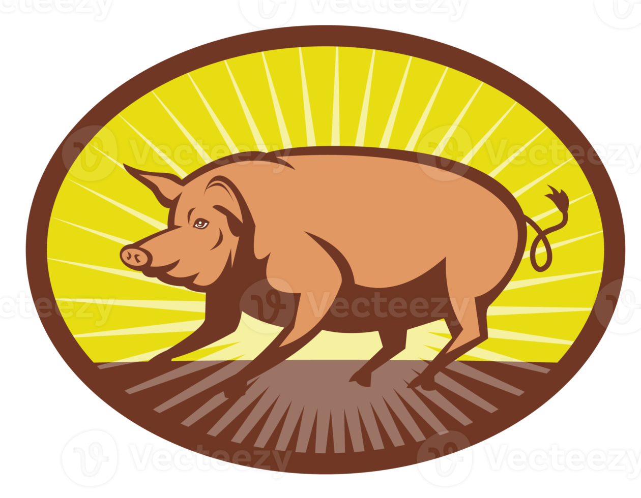 Pig side view with sunburst png