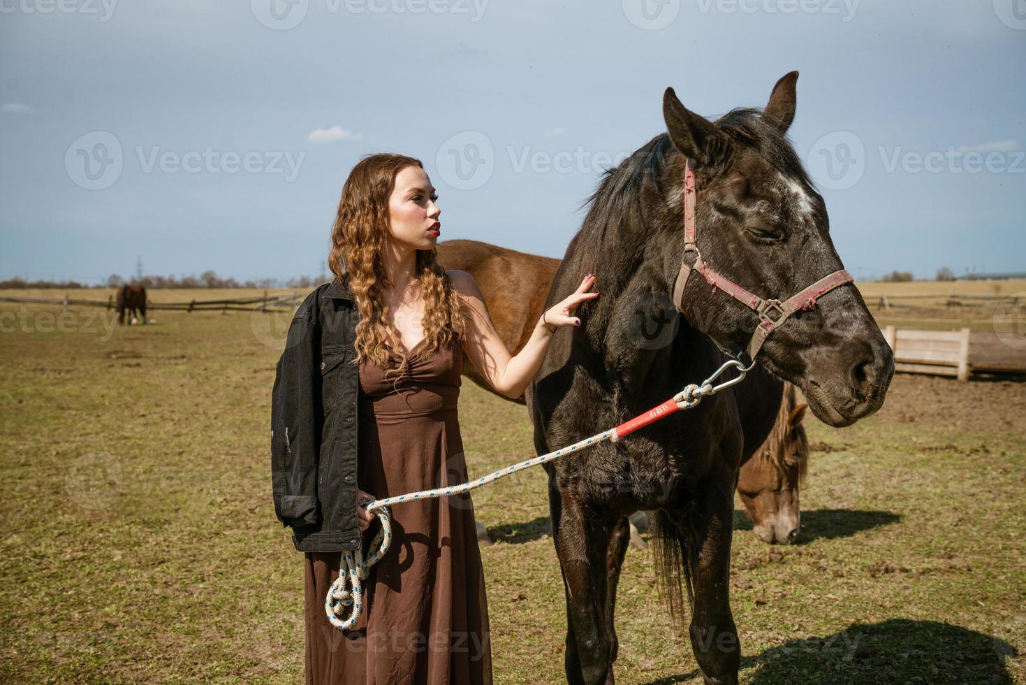 Beautiful young woman in a field with horses. Attractive fashion model. photo