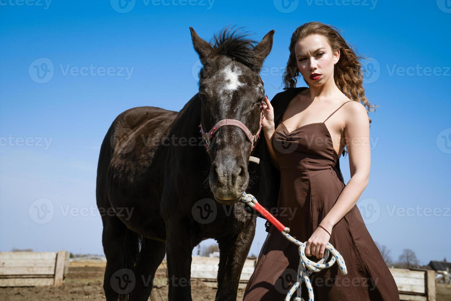 Beautiful woman with horse in a field on a sunny day photo