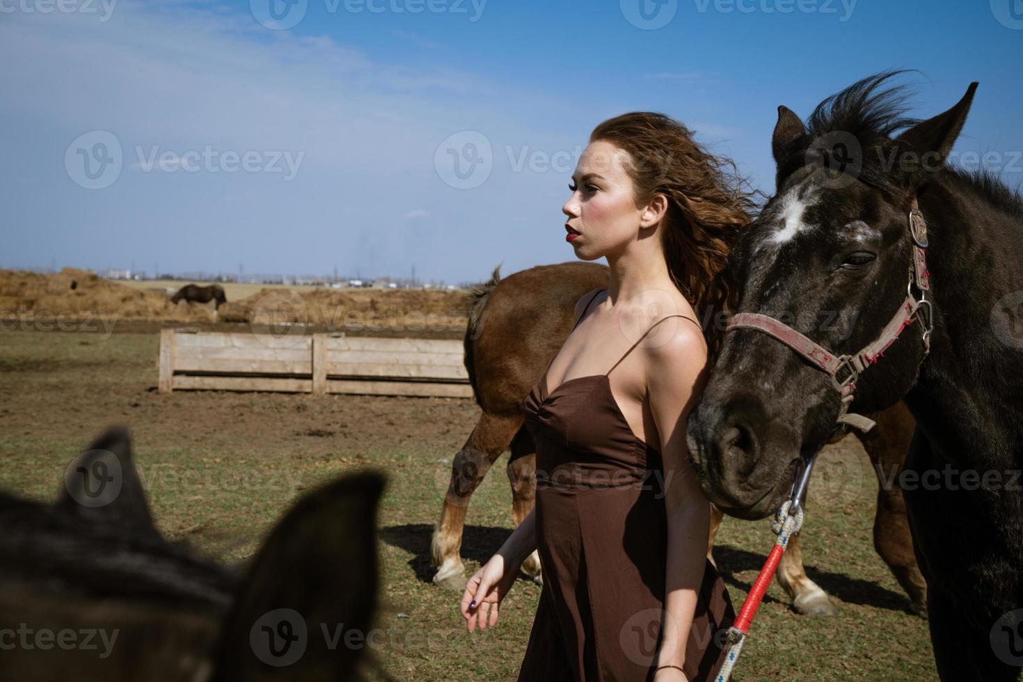 Beautiful woman with horse in a field on a sunny day photo