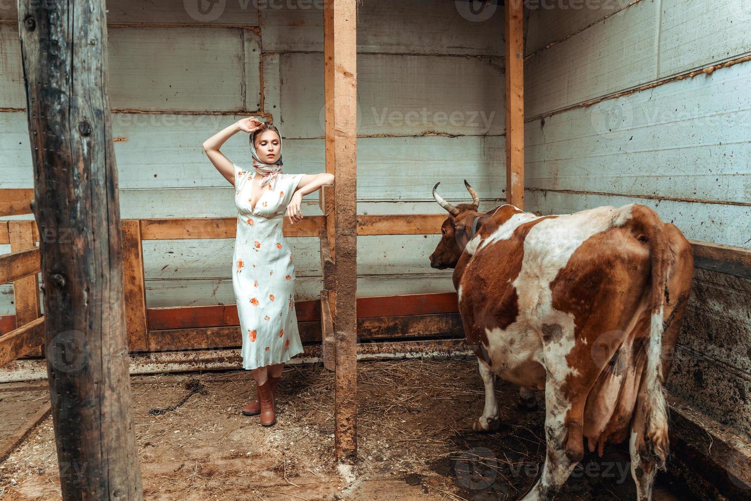 la mujer es lechera en el establo, granja foto