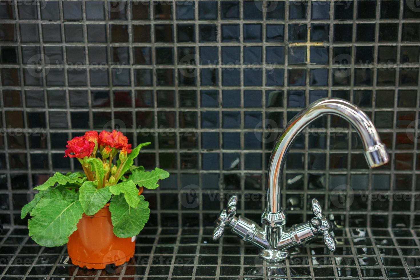 Water faucet and a pot of flowers photo