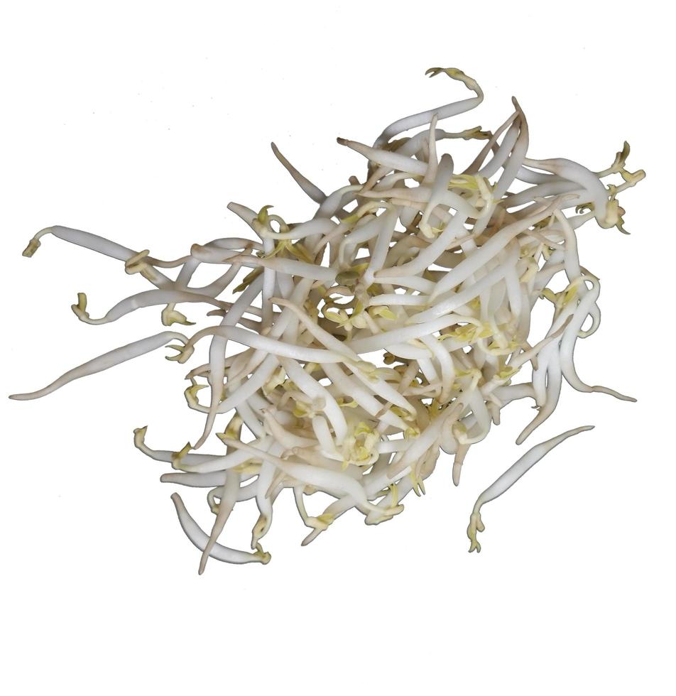 Fresh mung bean sprouts isolated on a white background photo