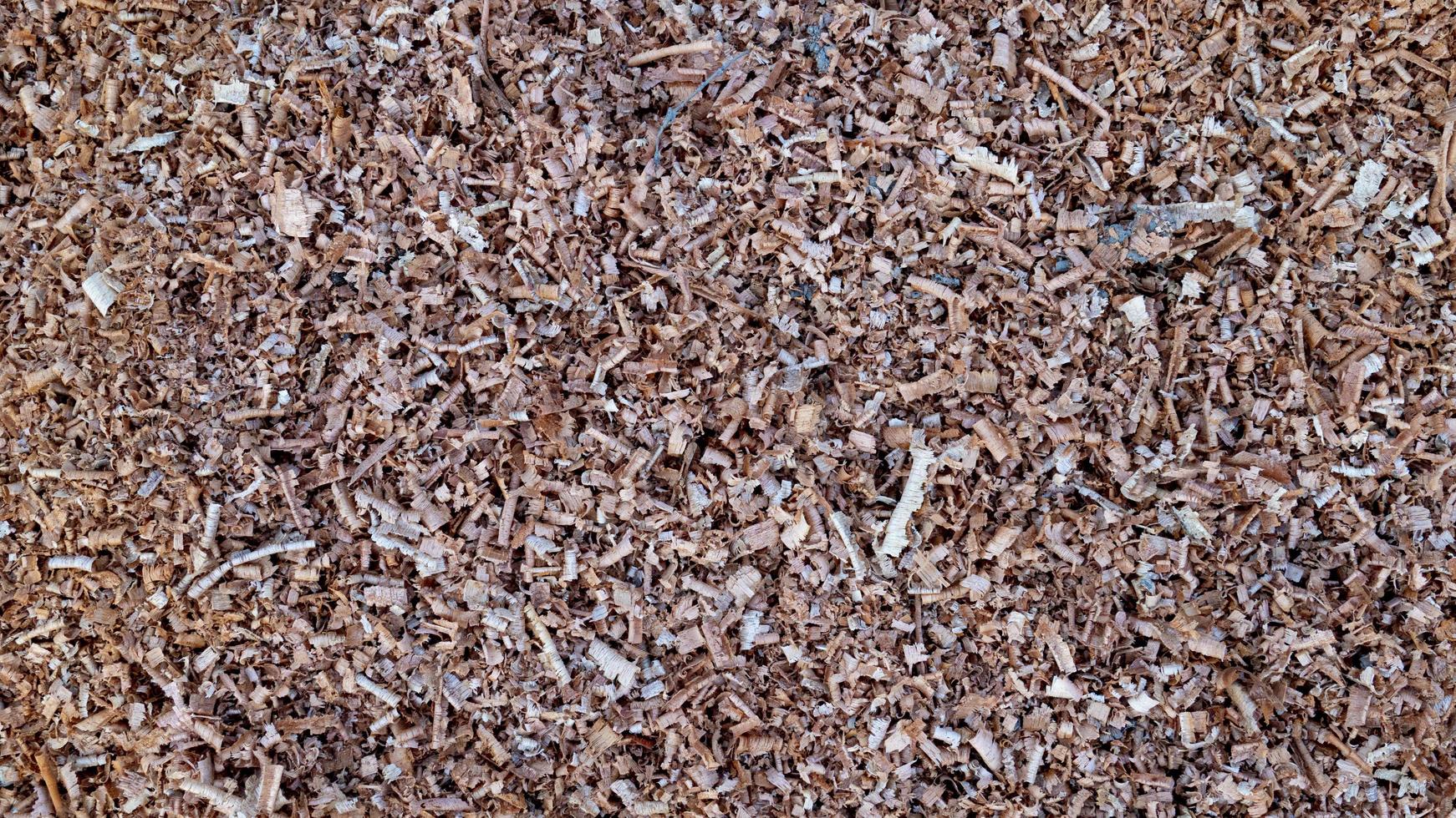 Above view of sawdust densely piled on the ground. for background and textured. photo