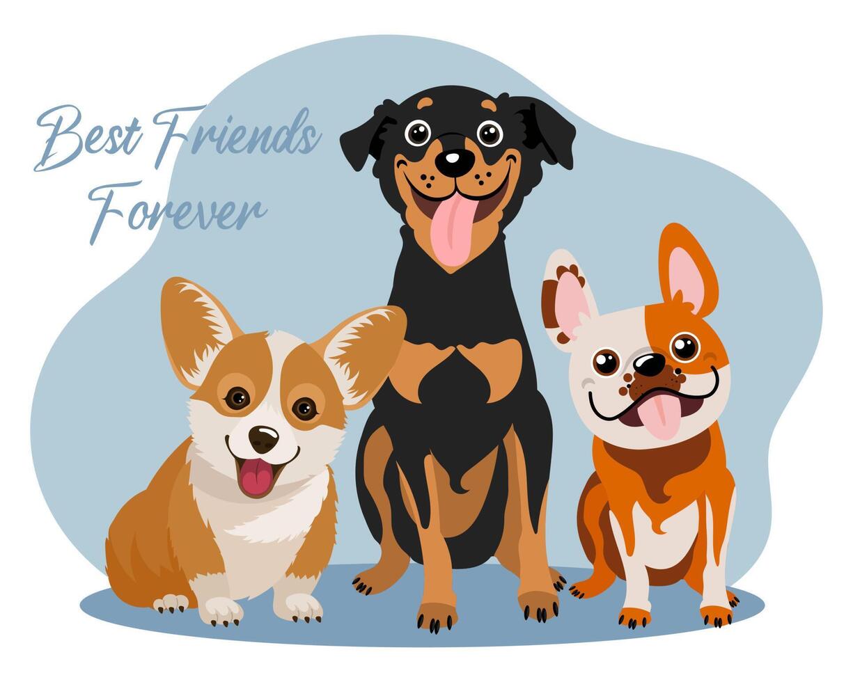 Funny dogs pinscher, bulldog and corgi and text Best friends forever. Cartoon illustration, postcard, vector 13149679 Vector Art at Vecteezy Funny dogs pinscher, bulldog and corgi and text Best friends forever. Cartoon illustration, postcard, vector 13149679 Vector Art at Vecteezy