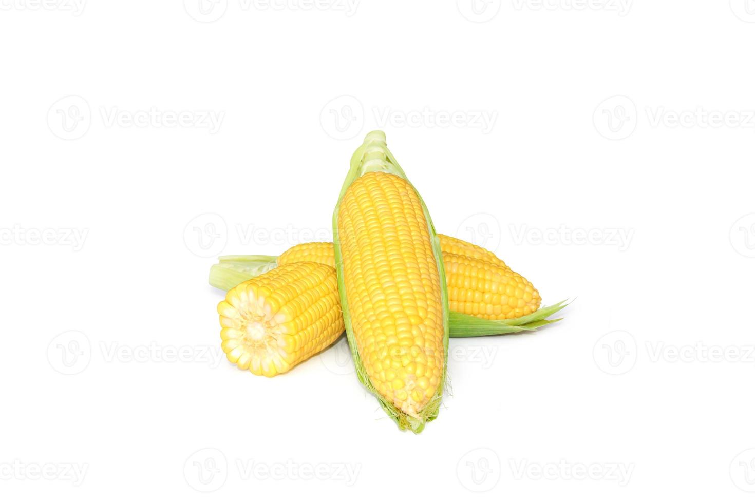 corn on a white background photo