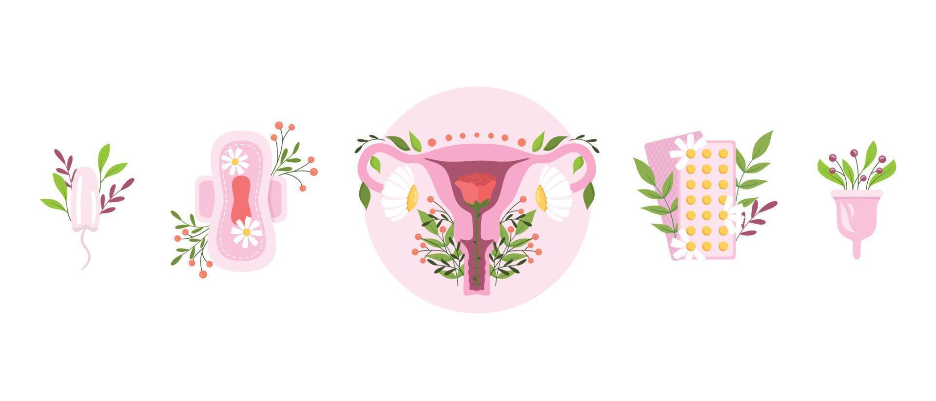 ilustración plana de útero y productos de higiene femenina con flores vector