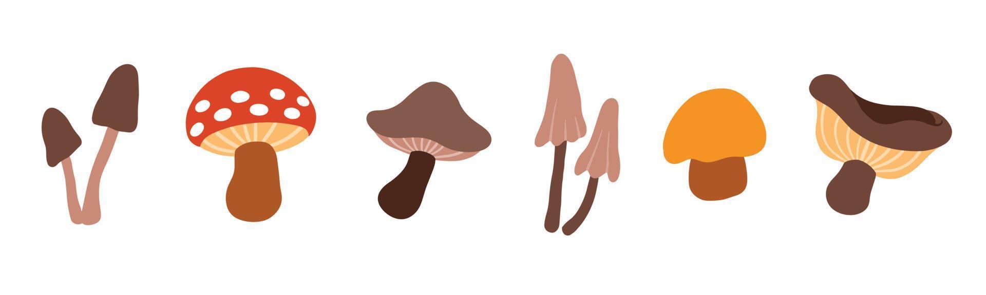 Set of cute mushroom for autumn design element. Collection of simple cartoon of nature hand drawn illustration. vector