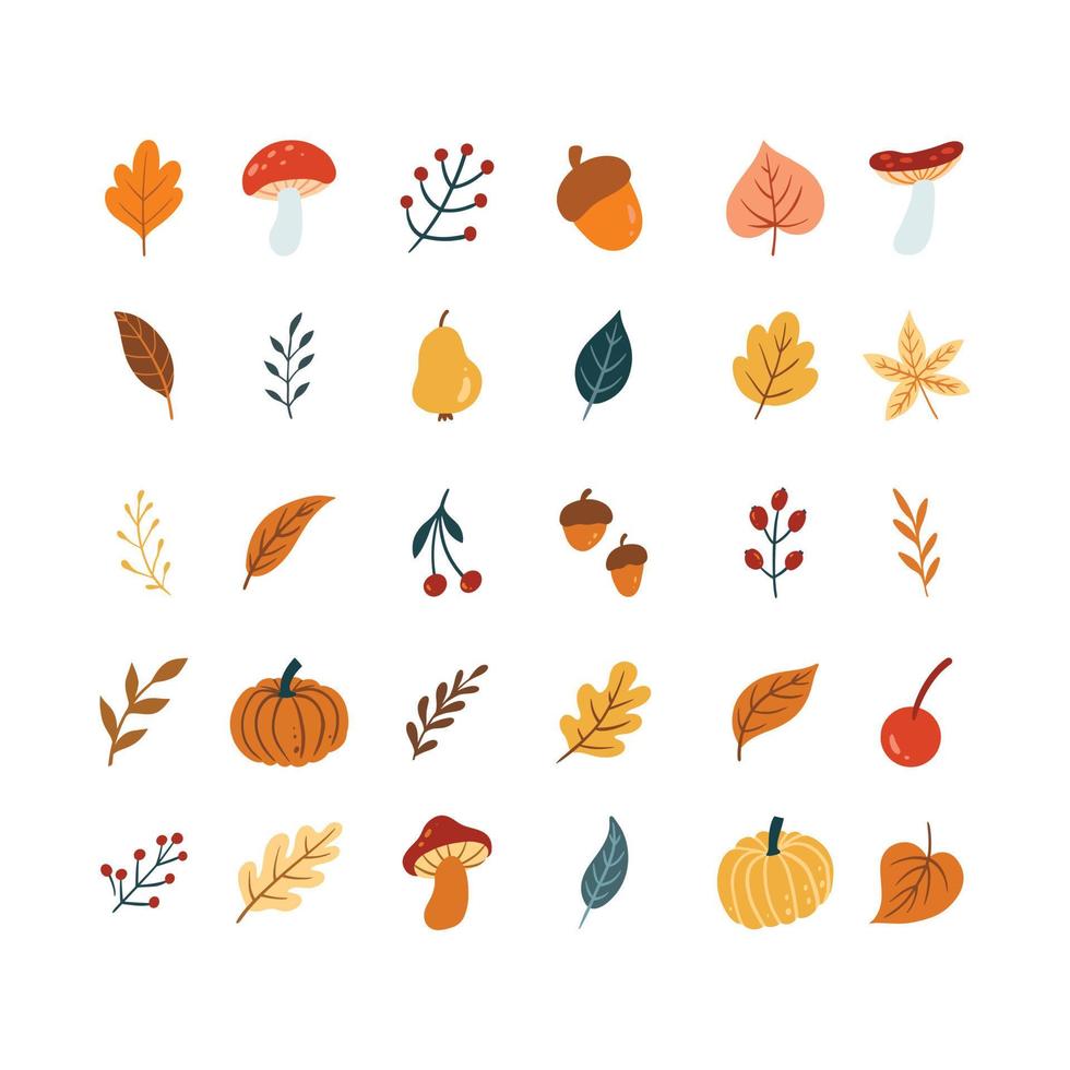 conjunto de lindo hongo y vagetable para el elemento de diseño de otoño. colección de dibujos animados simples de la naturaleza ilustración dibujada a mano. vector