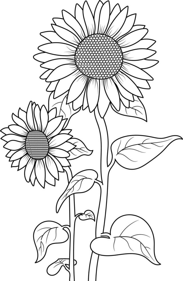 flor de sol delineada sobre fondo blanco para adultos libro para colorear vector