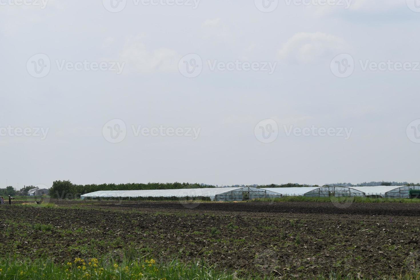 Greenhouse polycarbonate in a private garden photo