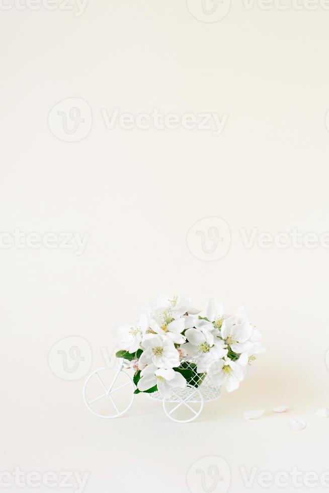 White flowers of an apple tree in a vintage souvenir bike on a beige background photo