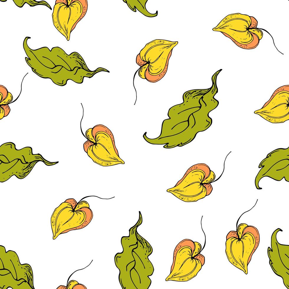 Autumn seamless pattern floral. vector