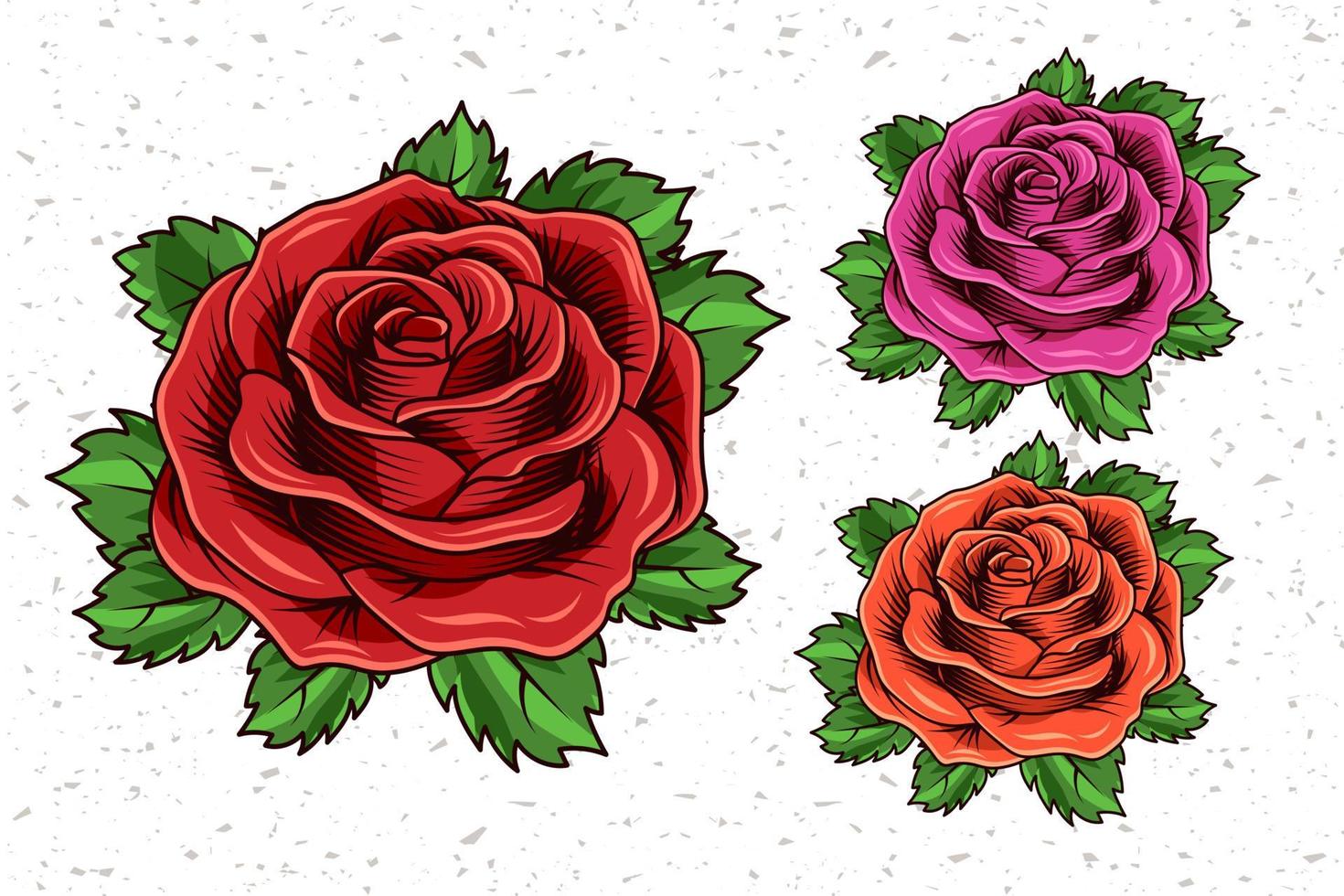 Vintage lush blooming red, magenta, orange roses with green leaves on textured background. Engraving style. Isolated vector illustration