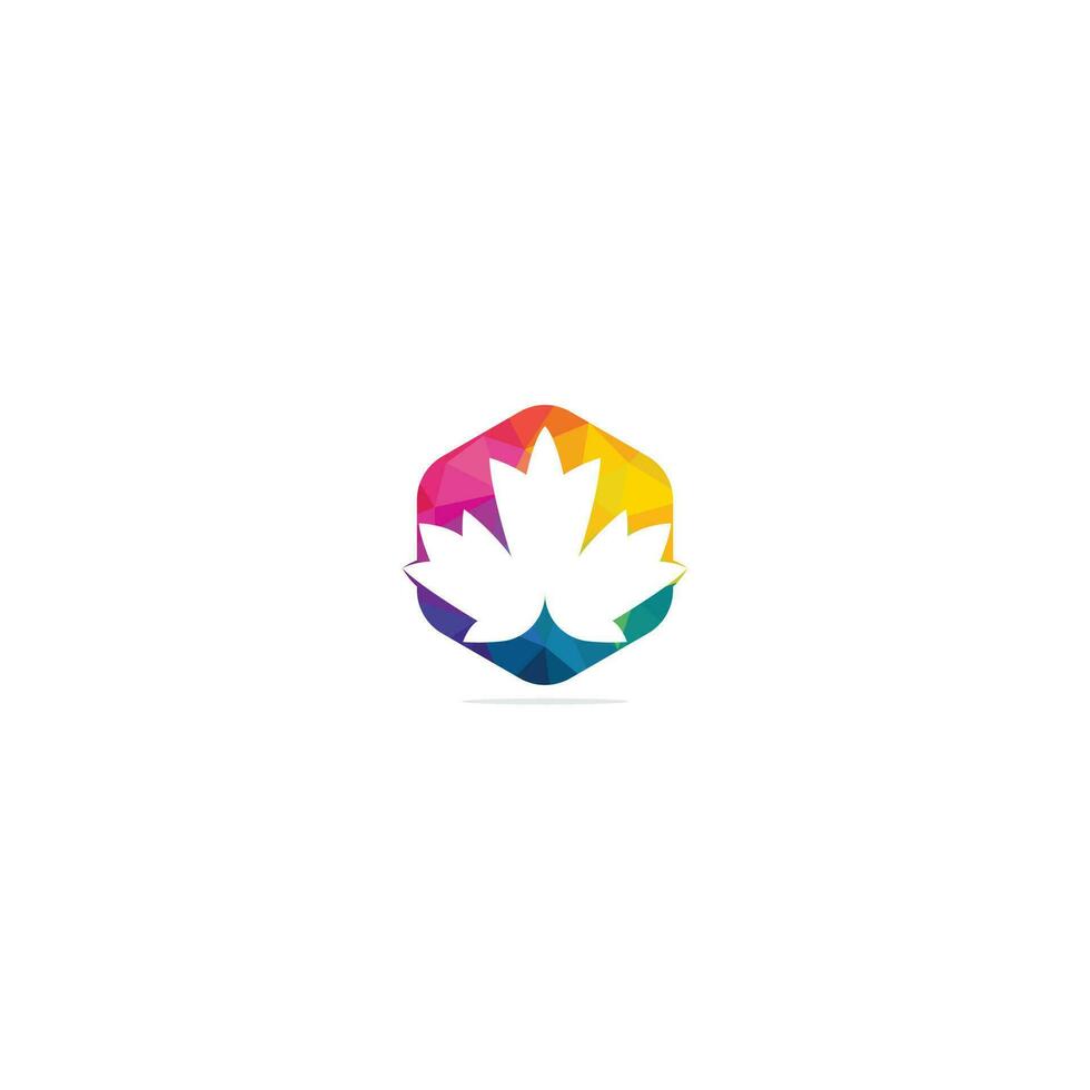 Maple leaf logo design. Canada symbol logo. vector