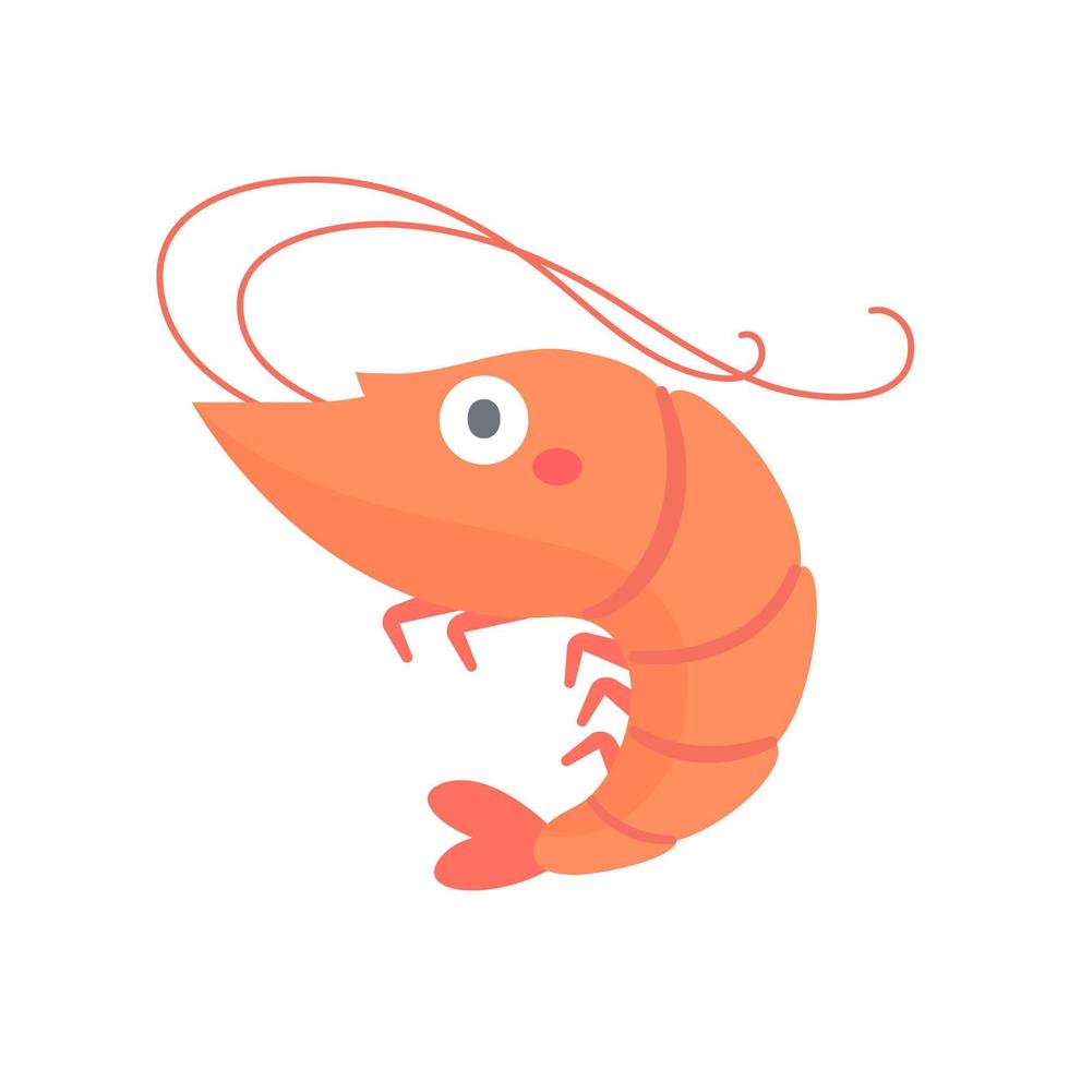Shrimp vector. cute animal face design for kids vector