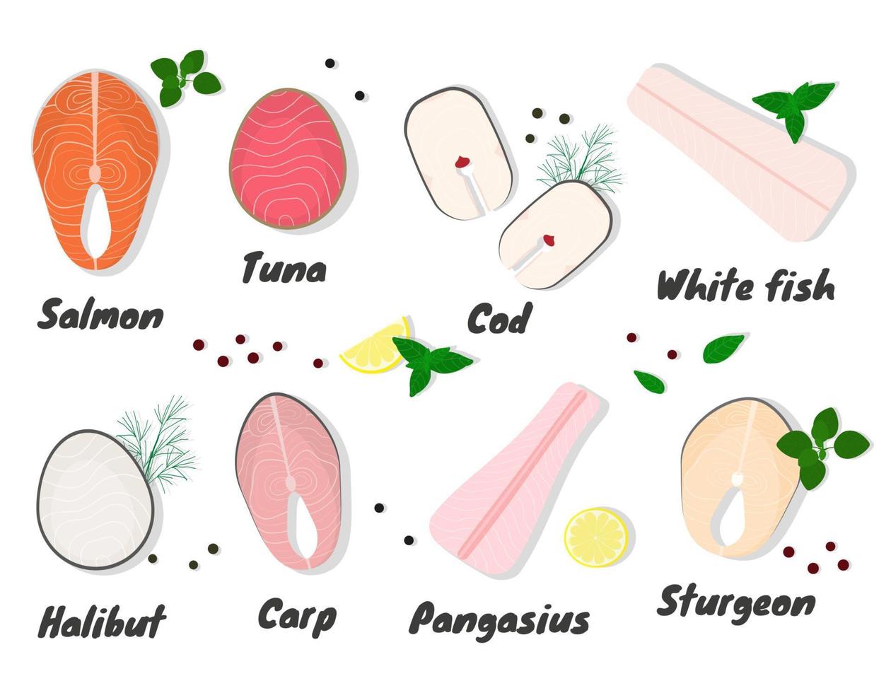 Raw fish steaks. vector