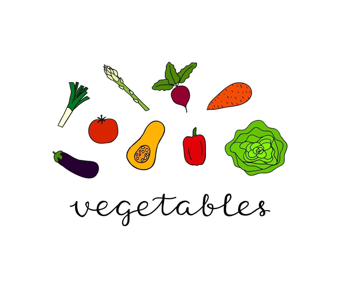 composición con verduras y letras. vector