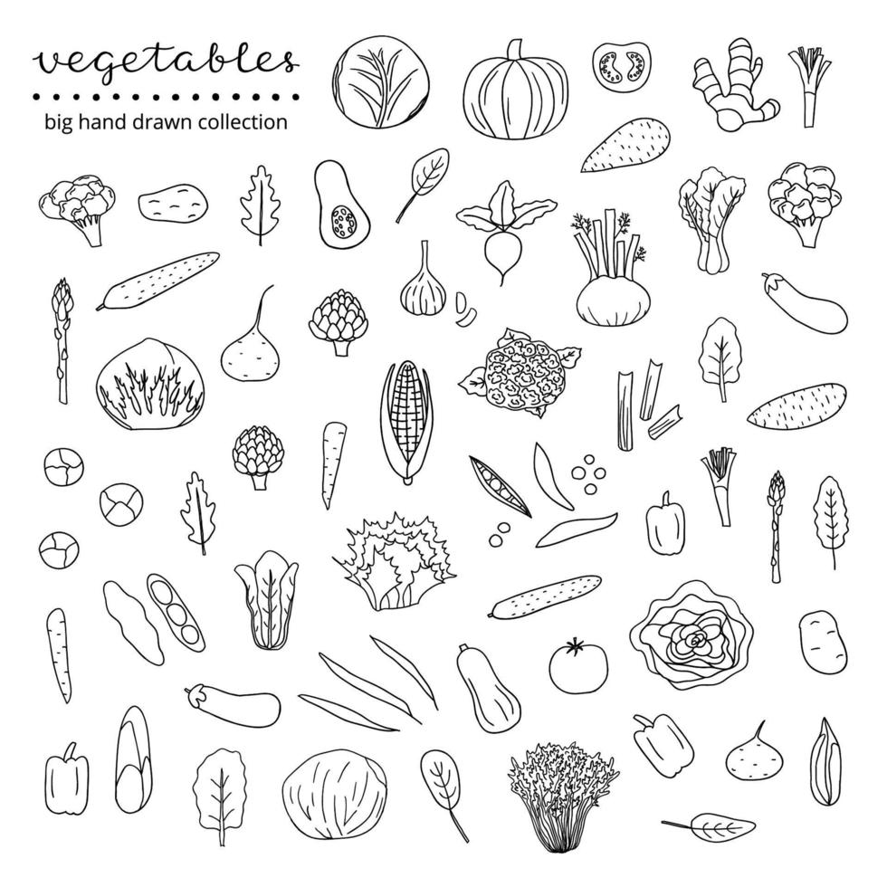 Set of hand drawn vegetables. vector