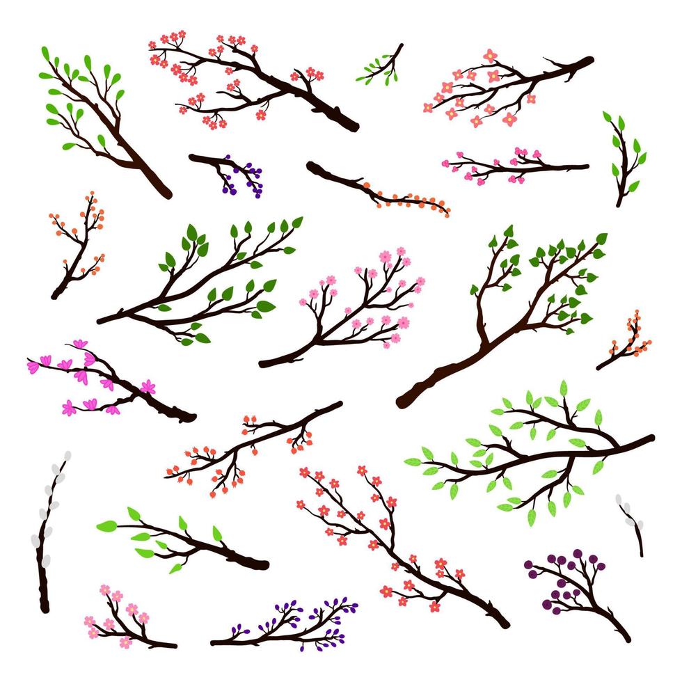 conjunto de ramitas y ramas dibujadas a mano. vector