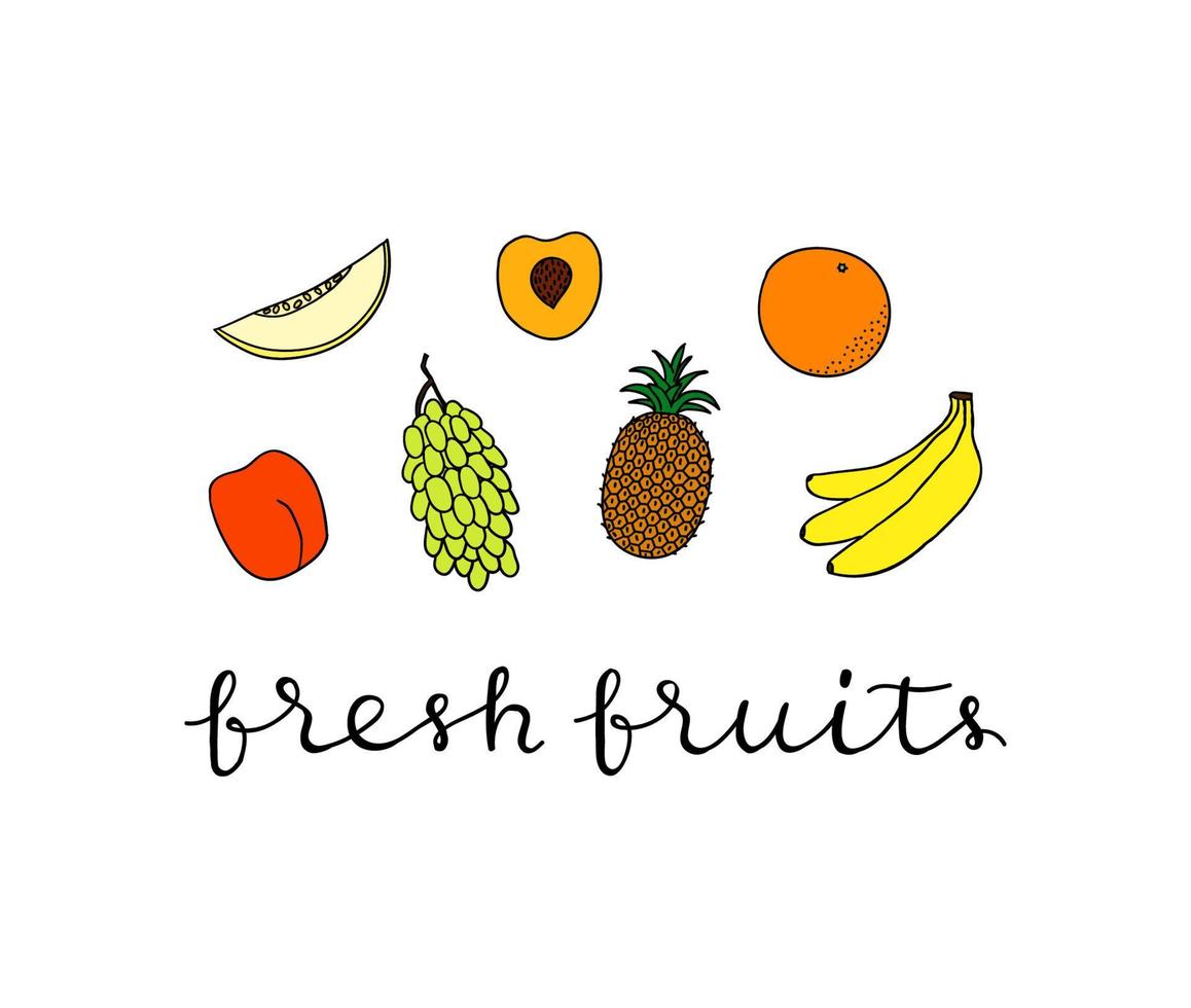 Composition with fruits and lettering. vector