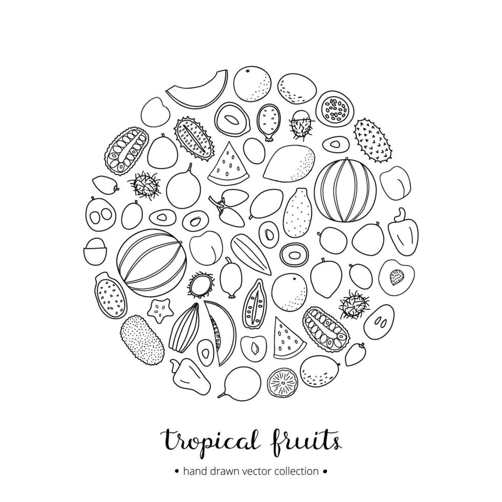 Hand drawn tropical fruits in circle. vector