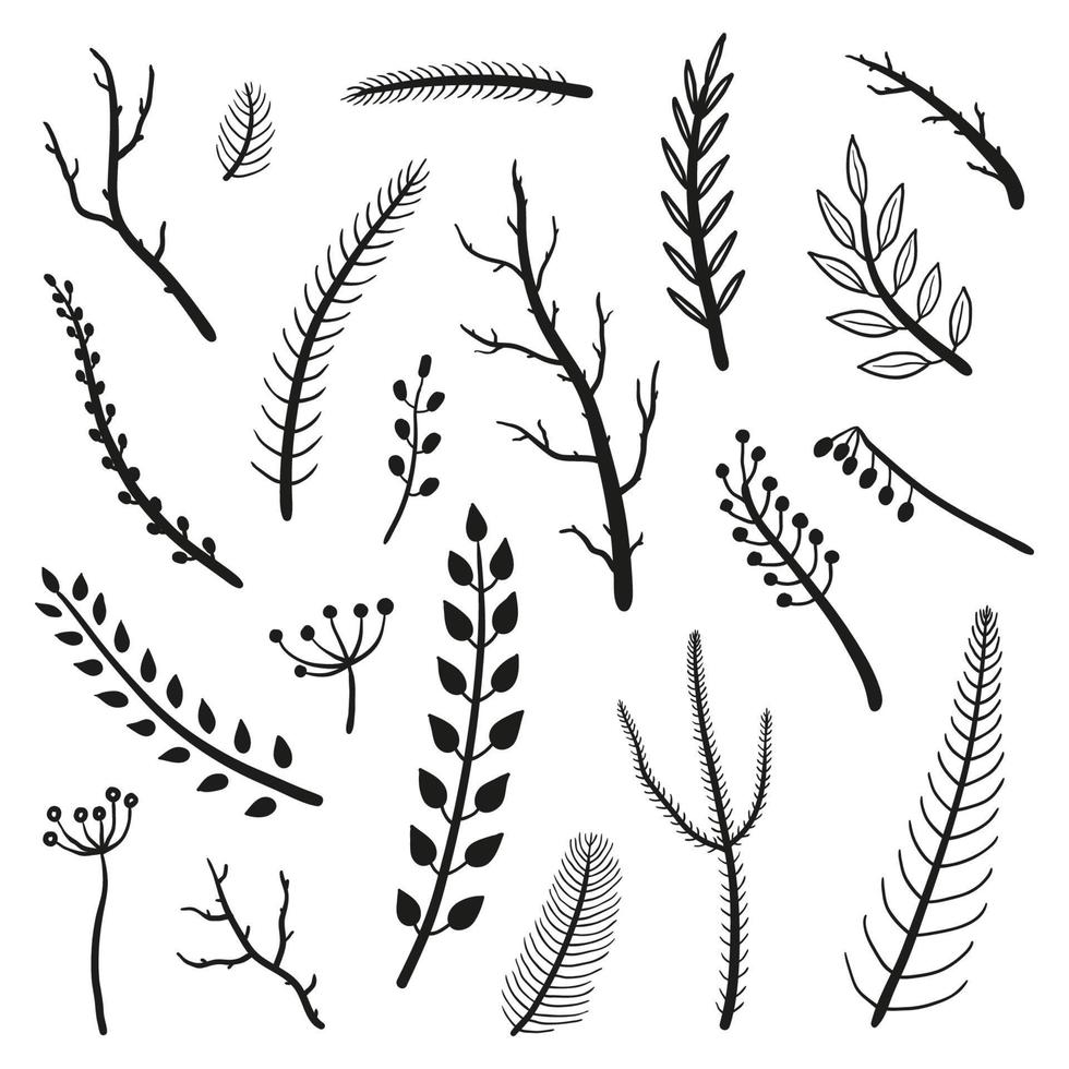 Collection of hand drawn twigs. vector