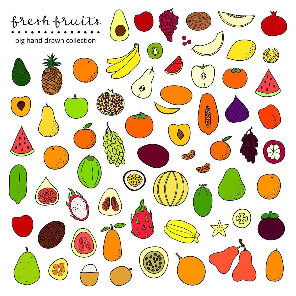 gran conjunto de frutas dibujadas a mano. vector