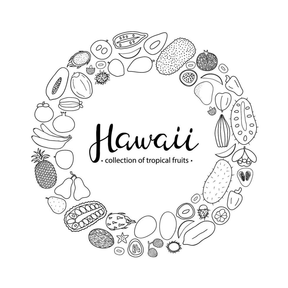 Tropical fruits of Hawaii in circle. vector