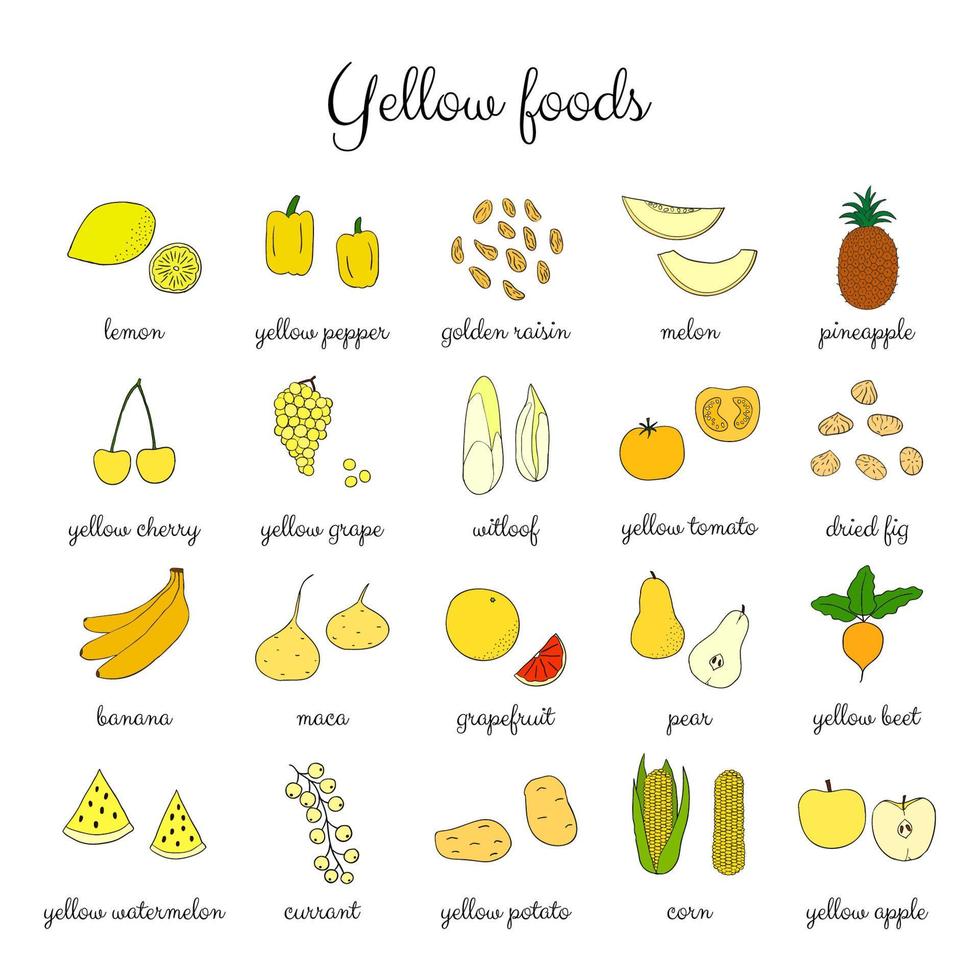 conjunto de alimentos amarillos dibujados a mano. vector