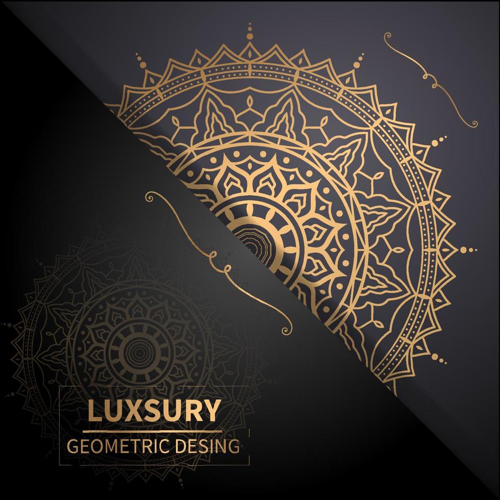 mandala luxury background vector