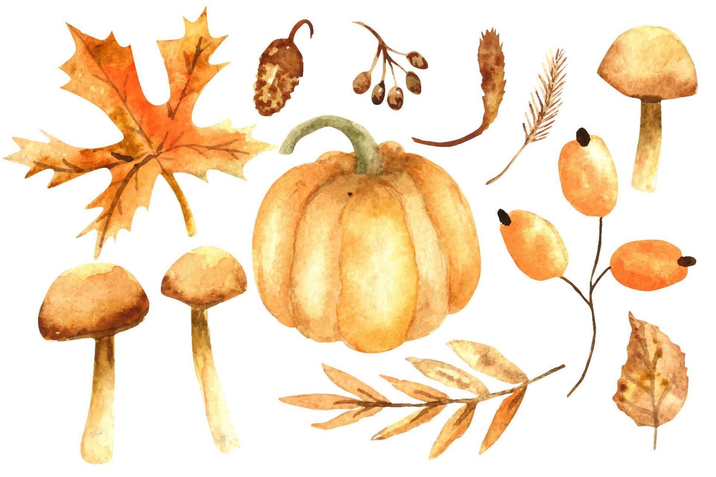 Watercolor autumn elements set. Cute fall leaves, pumpkin, mushrooms collection. vector