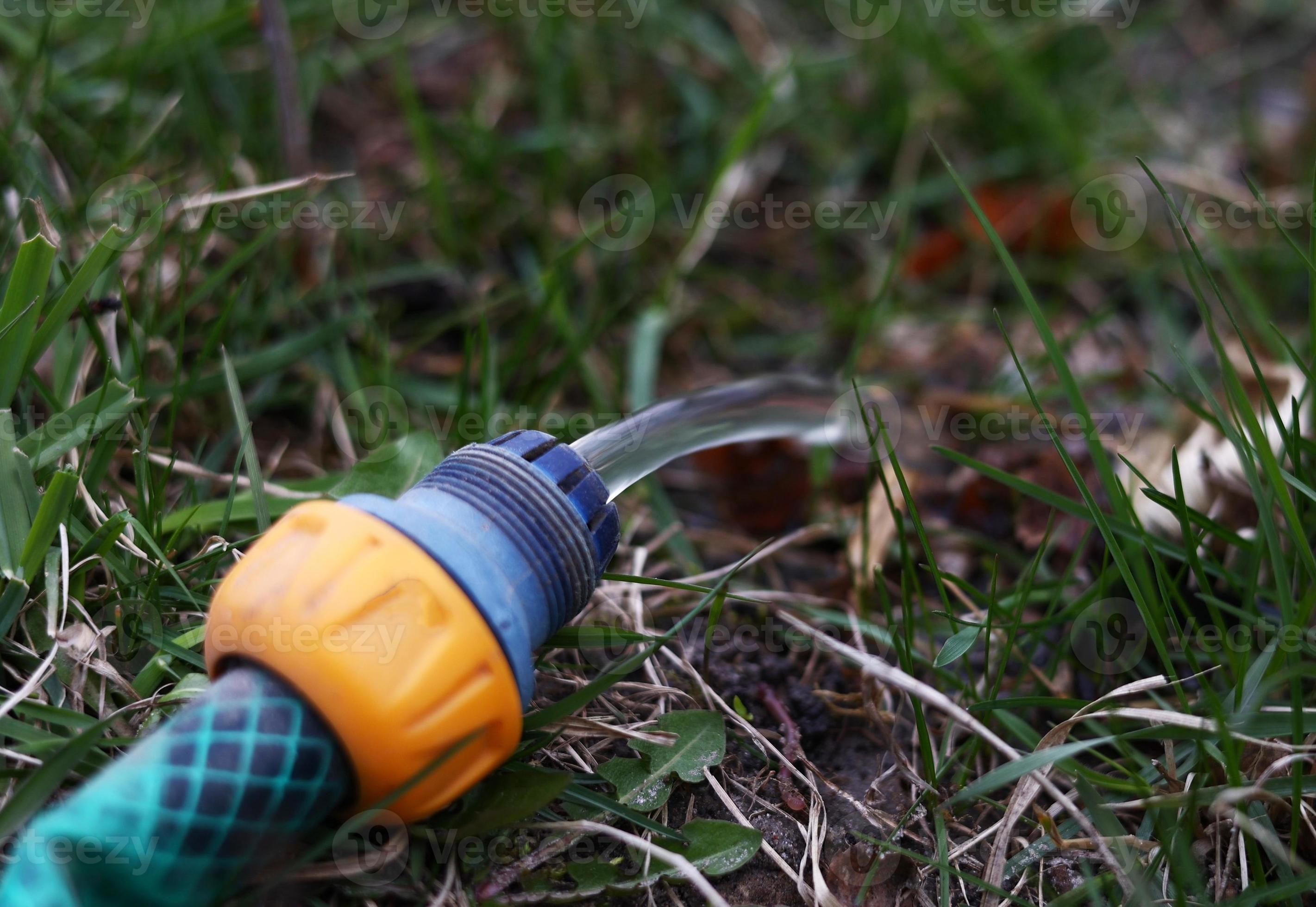 Watering the backyard using garden hose. Flow of water going out freely