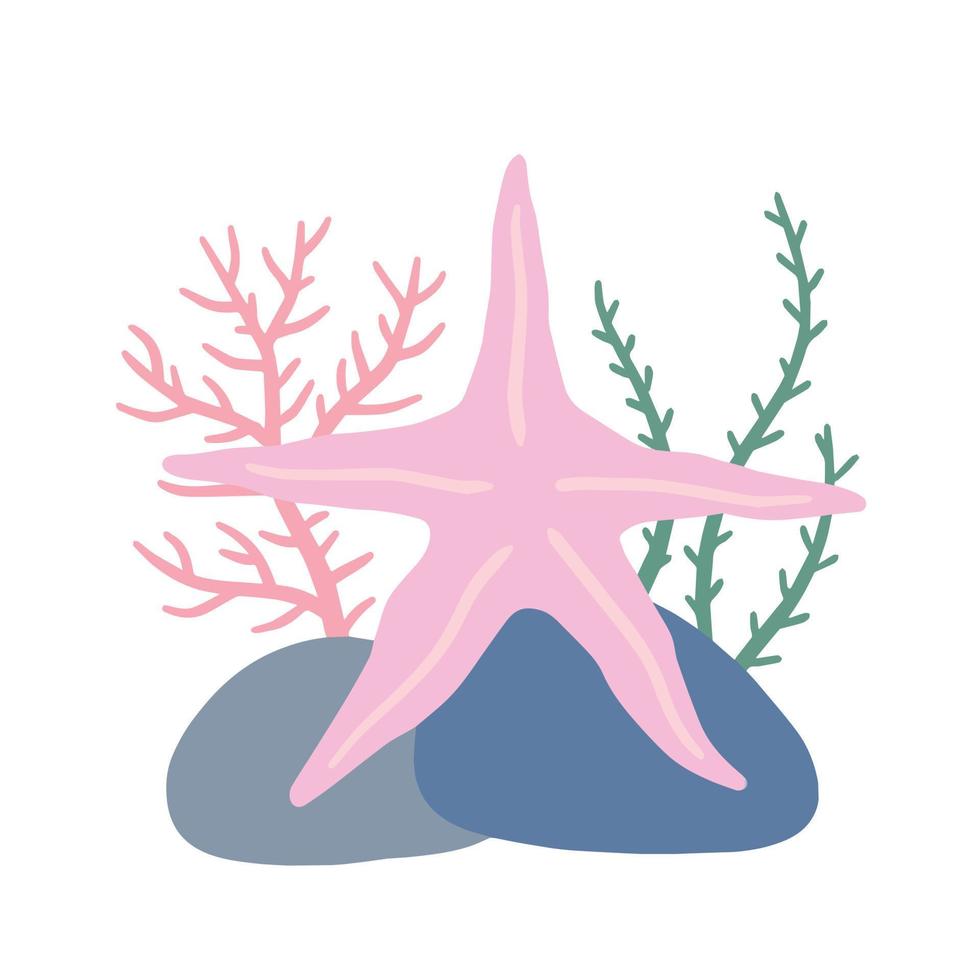 Starfish on seabed with rocks and algae. vector