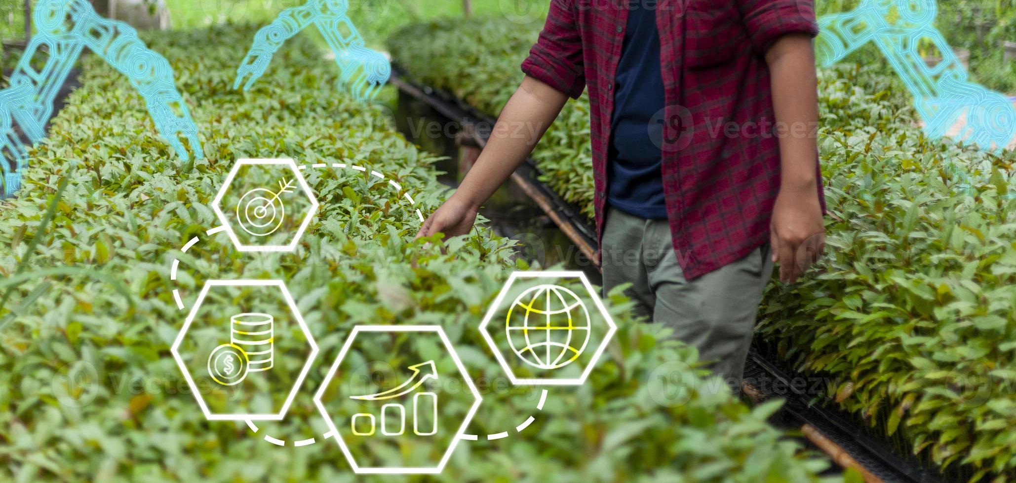 Farmers are checking their produce in greenhouses with the digital concept of using robotic technology to help harvest their crops. photo