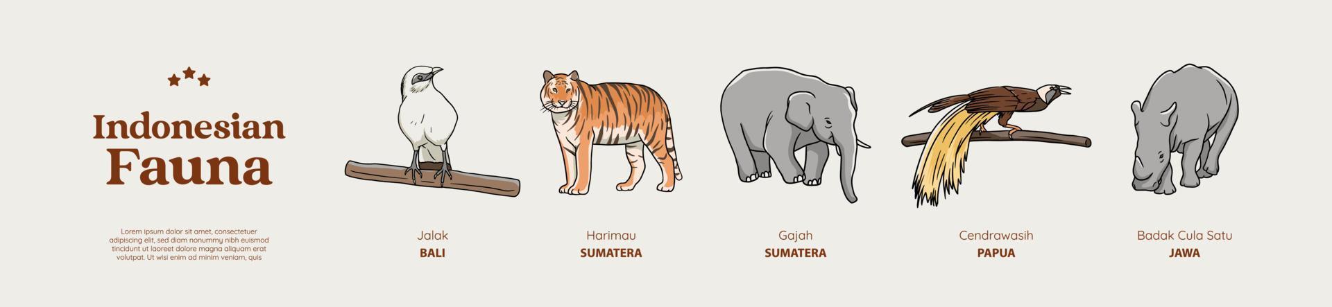 ilustración de animales indonesios dibujados a mano aislados vector