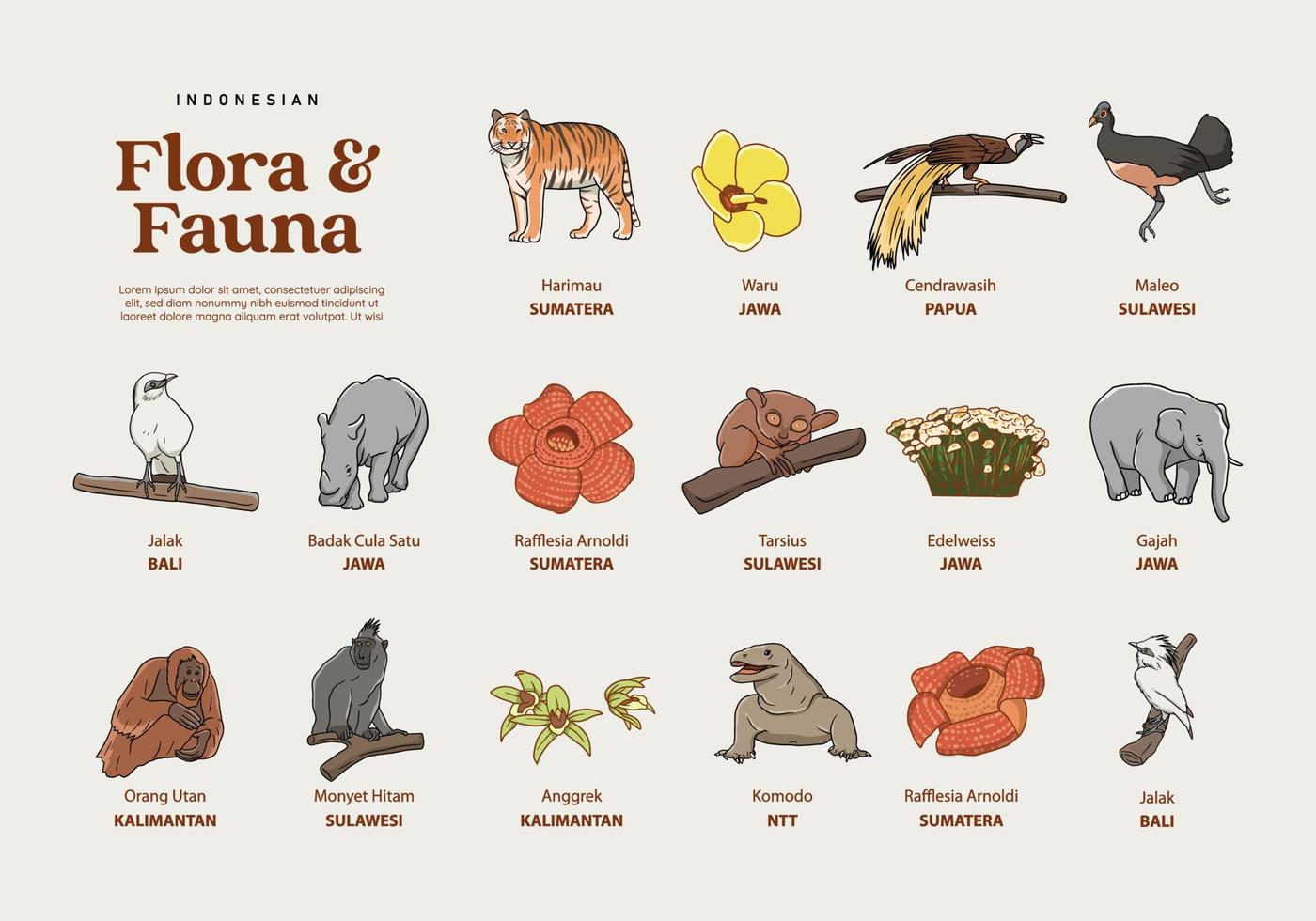 dibujado a mano aislado varias ilustraciones de flora y fauna de Indonesia vector