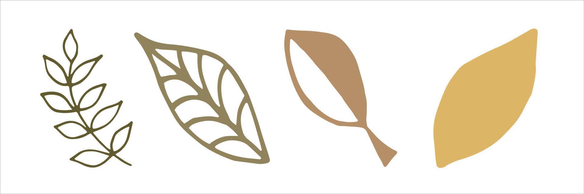 Set of vector plant doodle elements for modern design